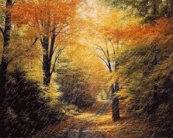 entry picture
