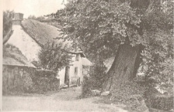 entry picture
