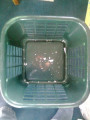 entry picture