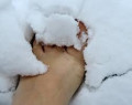 entry picture