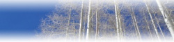entry picture