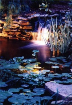 entry picture
