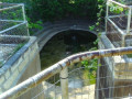 entry picture