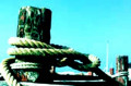 entry picture