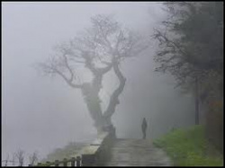 entry picture