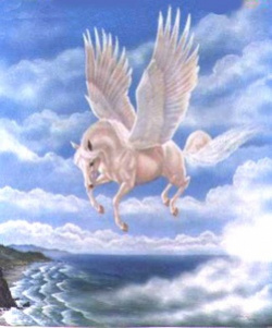 entry picture