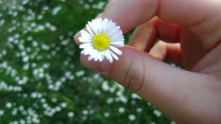entry picture
