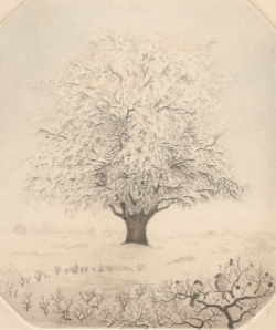 entry picture
