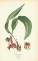 entry picture