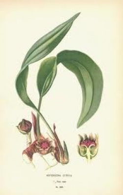 entry picture