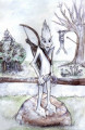 entry picture