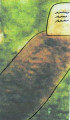 entry picture