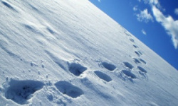 entry picture