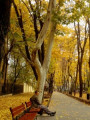 entry picture