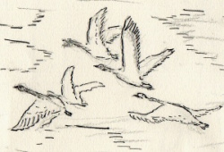 entry picture