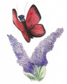 entry picture