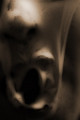 entry picture