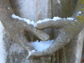 entry picture
