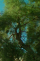 entry picture