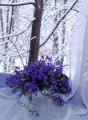 entry picture