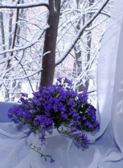 entry picture