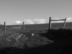 entry picture