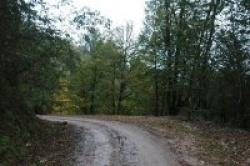 entry picture