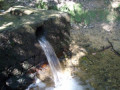 entry picture