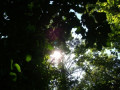 entry picture
