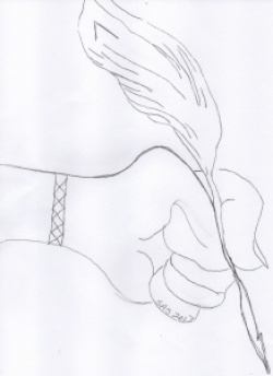 entry picture