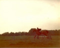 entry picture