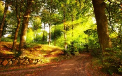 entry picture