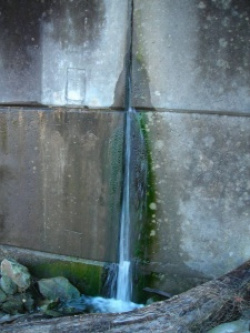 entry picture
