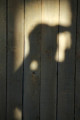 entry picture