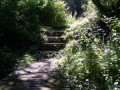 entry picture