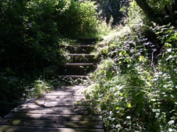 entry picture