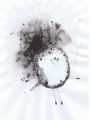 entry picture