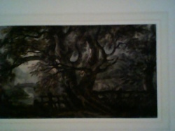 entry picture