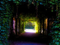 entry picture