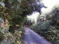 entry picture