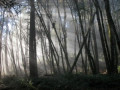 entry picture