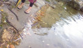 entry picture