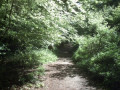 entry picture