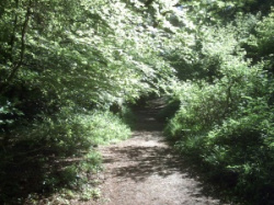 entry picture
