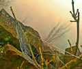 entry picture