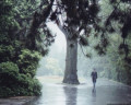 entry picture