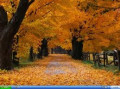 entry picture