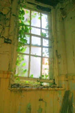 entry picture