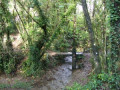 entry picture