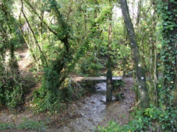 entry picture